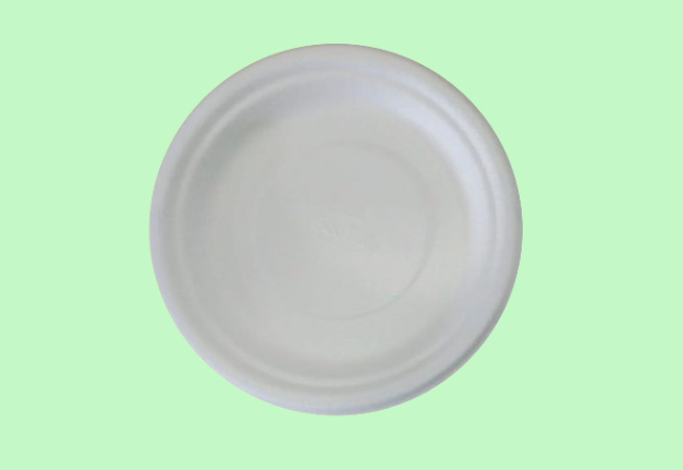  7 INCH ROUND PLATE 