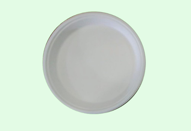 11 INCH ROUND PLATE