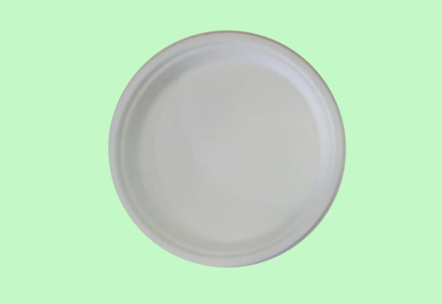 10 INCH ROUND PLATE