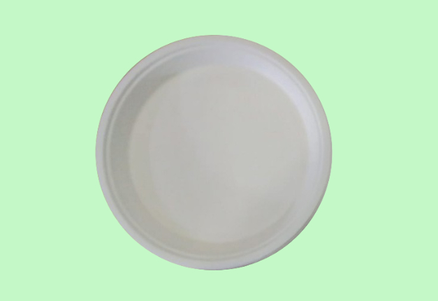 9 INCH ROUND PLATE 